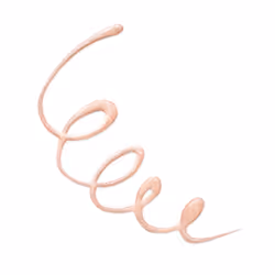 Les Yeux Brillent ! eye-liner liquide 4 ml