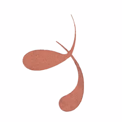 Essence COLOUR it! crayon contour des yeux 3 ml Liquide 01 Burnished Bronze - Vue supplémentaire 4