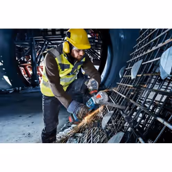 Bosch GBH 18V-21 PROFESSIONAL 1800 tr/min SDS Plus