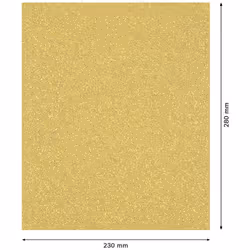 Papier de sable Bosch EXPERT C470; 230x280 mm; K220