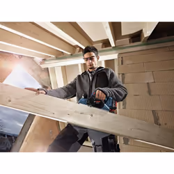 Bosch GHO 18V-LI Professional