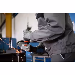 Meuleuse d'angle Bosch GWS 17-125 SB Professional; 1700 W