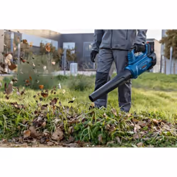 Bosch GBL 18V-750 PROFESSIONAL souffleur de feuilles sans fil 198 km/h Noir, Bleu, Rouge