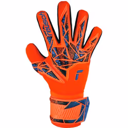 Gants de gardien Reusch Attrakt Silver NC