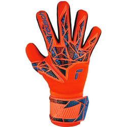 Gants de gardien Reusch Attrakt Silver NC