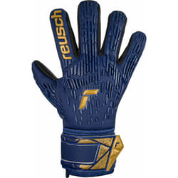Gants de gardien enfant Reusch Attrakt Freegel Silver