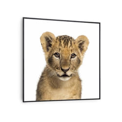 Radiateur infrarouge Klarstein Wonderwall Air Art Smart - Motif Lion cadre noir - 60x60cm - 350W