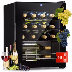 PRÉSENTATION ÉLÉGANTE DES VINS : En plus de sa porte en verre, la cave à vin Klarstein est doté d'un cadre en acier inoxydabl ...
