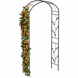L' arche pour rosier Blumfeldt FloraBelle Arch allie élégance, style et construction robuste. Ses panneaux latéraux uniques a ...