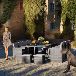 TecTake 404629 ensemble de meubles de jardin Noir, Gris