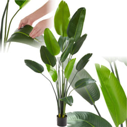 Arbre oiseau du paradis tropic - 180 cm