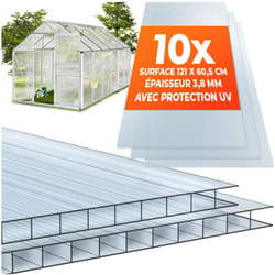 Lot de 10 plaques doubles SHINY en polycarbonate découpables - 121 x 60,5 x 0,4 cm