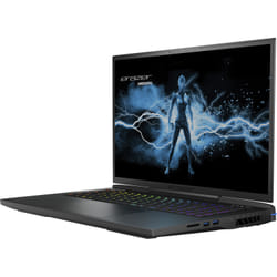 Erazer Beast X40 Intel® Core™ i9 i9-13900HX Ordinateur portable 43,2 cm (17") Quad HD+ 32 Go DDR5-SDRAM 1,02 To SSD NVIDIA GeForce RTX 4080 Wi-Fi 6 (802.11ax) Windows 11 Home Noir