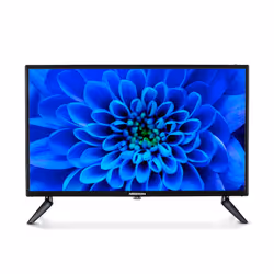 MEDION LIFE E12421 (MD 20113), 61 cm (24"), 1920 x 1080 pixels, Full HD, LCD, DVB-C, DVB-S2, DVB-T2 HD, Noir