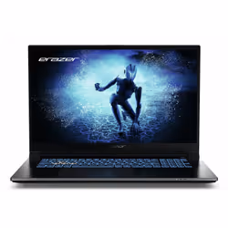 ERAZER MD62596, Intel® Core™ i5, 43,9 cm (17.3"), 1920 x 1080 pixels, 16 Go, 512 Go, Noir