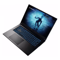 ERAZER MD62596 i5-12450H 17.3" Full HD 16Go 512Go SSD RTX 4060 Noir