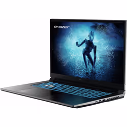 ERAZER MD62596 i5-12450H 17.3" Full HD 16Go 512Go SSD RTX 4060 Noir