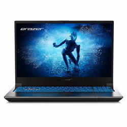 Erazer Deputy P60i, Intel® Core™ i5, 39,6 cm (15.6"), 1920 x 1080 pixels, 32 Go, 512 Go, Windows 11 Home