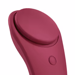 Satisfyer Sexy Secret Vibrateur à baguette Ambidextre