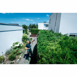 Taille-haie Metabo MA-HS 50