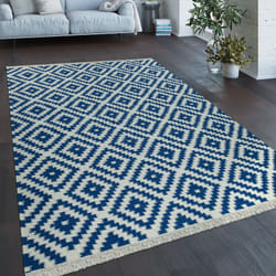Paco Home - Tapis Tissé Main Tendance Moderne Design Marocain Franges Bleu Blanc 120x170 cm