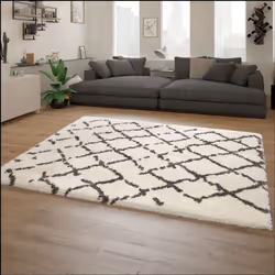 Les tapis modernes à poils longs séduisent par leurs designs minimalistes aux couleurs discrètes. De ce fait, ils sont très s ...