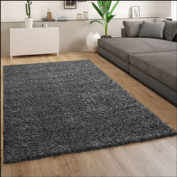 Paco Home - Tapis Poils Longs Gris Anthracite Salon Shaggy Résistant Doux Robuste 160x220 cm