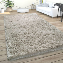 Paco Home - Tapis De Salon Poils Longs Shaggy Uni Doux Moderne Gris 60x100 cm