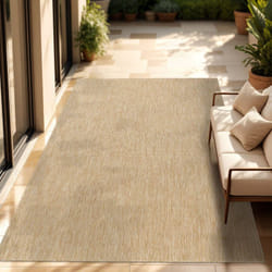 Paco Home - Tapis Intérieur Et Extérieur Balcon Terrasse Tapis Cuisine Monochrome Moucheté 300x400 cm, Naturelle