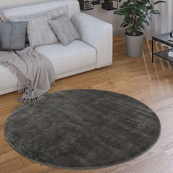 Paco Home - Tapis, Tapis à Poils Ras Doux Pour Salon, Moelleux, Lavable, Gris Foncé 120 cm rond