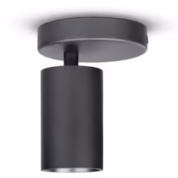 LE LUMINAIRE :Polyvalent et simple, ce plafonnier tendance est disponible dans un vaste choix de modèles en vogue. Doté d’une ...