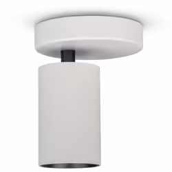 LE LUMINAIRE :Polyvalent et simple, ce plafonnier tendance est disponible dans un vaste choix de modèles en vogue. Doté d’une ...