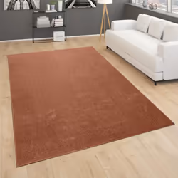 Là où d’autres tapis sont contraints de s’imposer par des couleurs flamboyantes et des designs complexes, les merveilleux tap ...