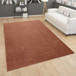 Paco Home - Tapis De Salon Poils Ras Chambre à Coucher Motif Monochrome Moderne Marron Rouge 80x150 cm
