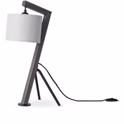 LES LUMINAIRES : Ces luminaires sont tout sauf ordinaires ! Avec leur design unique, ces accessoires tendance séduiront aussi ...