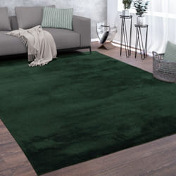 Paco Home - Tapis De Salon Poils Ras Lavable Monochrome Style Moderne Vert 160x220 cm