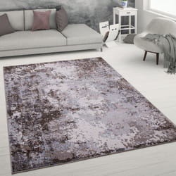 Paco Home - Tapis De Salon Tapis De Salon Poils Ras Tapis Vintage Effet Usé Moderne Abstrait 80x300 cm, Marron