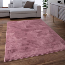 Paco Home - Tapis Salon Adulte Poil Long Shaggy Lavable En Machine Moelleux Pelucheux RosaRose Mauve 60x90 cm