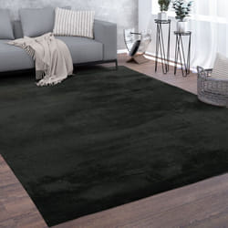 Paco Home - Tapis De Salon Poils Ras Lavable Monochrome Style Moderne Noir 140x200 cm