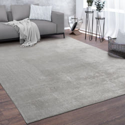 Paco Home - Tapis De Salon Poils Ras Lavable Monochrome Style Moderne Argent 200 cm carré