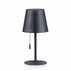 LE LUMINAIRE :Parfois, un luminaire adapté suffit pour offrir une touche supplémentaire de convivialité à une soirée et à cré ...