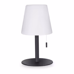 LE LUMINAIRE :Parfois, un luminaire adapté suffit pour offrir une touche supplémentaire de convivialité à une soirée et à cré ...