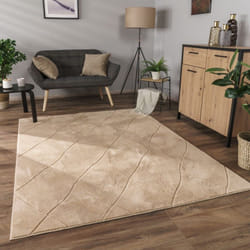 Paco Home - Tapis Salon Chambre Adulte Poils Ras Motif Boho Motif Scandinave 3D 160x220 cm, Beige 2