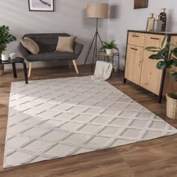 ; On n’est jamais déçu par les grands classiques;! Ces tapis à poils ras élégants se distinguent par un motif diamant tendanc ...