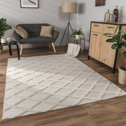 Paco Home - Tapis Salon Chambre Adulte Poils Ras Motif Boho Motif Scandinave 3D 80x150 cm, Crème