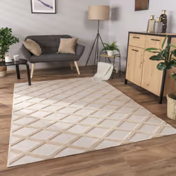 ; On n’est jamais déçu par les grands classiques;! Ces tapis à poils ras élégants se distinguent par un motif diamant tendanc ...