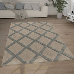 Paco Home - Tapis Poils Longs Tapis Salon Shaggy Aspect 3D Ethnique Boho Look Vintage Doux 60x100 cm, Gris 2
