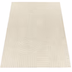 Découvrez notre collection exclusive de tapis, qui offre une variété fascinante de designs pour donner à chaque pièce une atm ...
