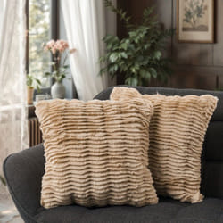 Lot De 2 Coussins Décoratifs Housse De Coussin Décoration Salon Coussins Canapé Beige, 2pcs-Set - Paco Home