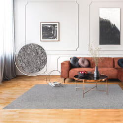 Paco Home - Tapis Salon Chambre Adulte Poils Ras Uni Moelleux Lavable En Machine 80x150 cm, Gris